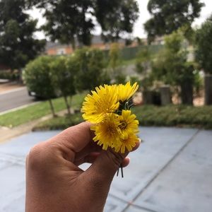 Meet your Posher, Mino